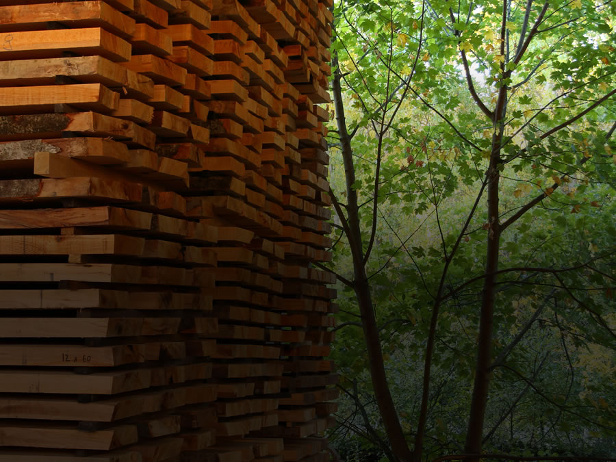 Madera apilada frente al bosque